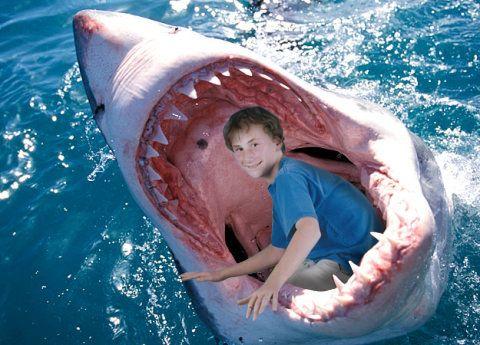 白鲨爆料宝宝视频大全,宝宝成长瞬间，温馨视频大盘点  第1张