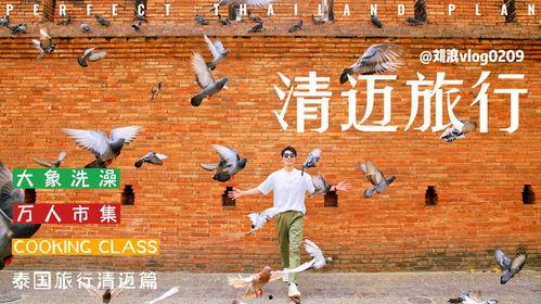 泰国旅游博主爆料事件视频,揭秘背后真相